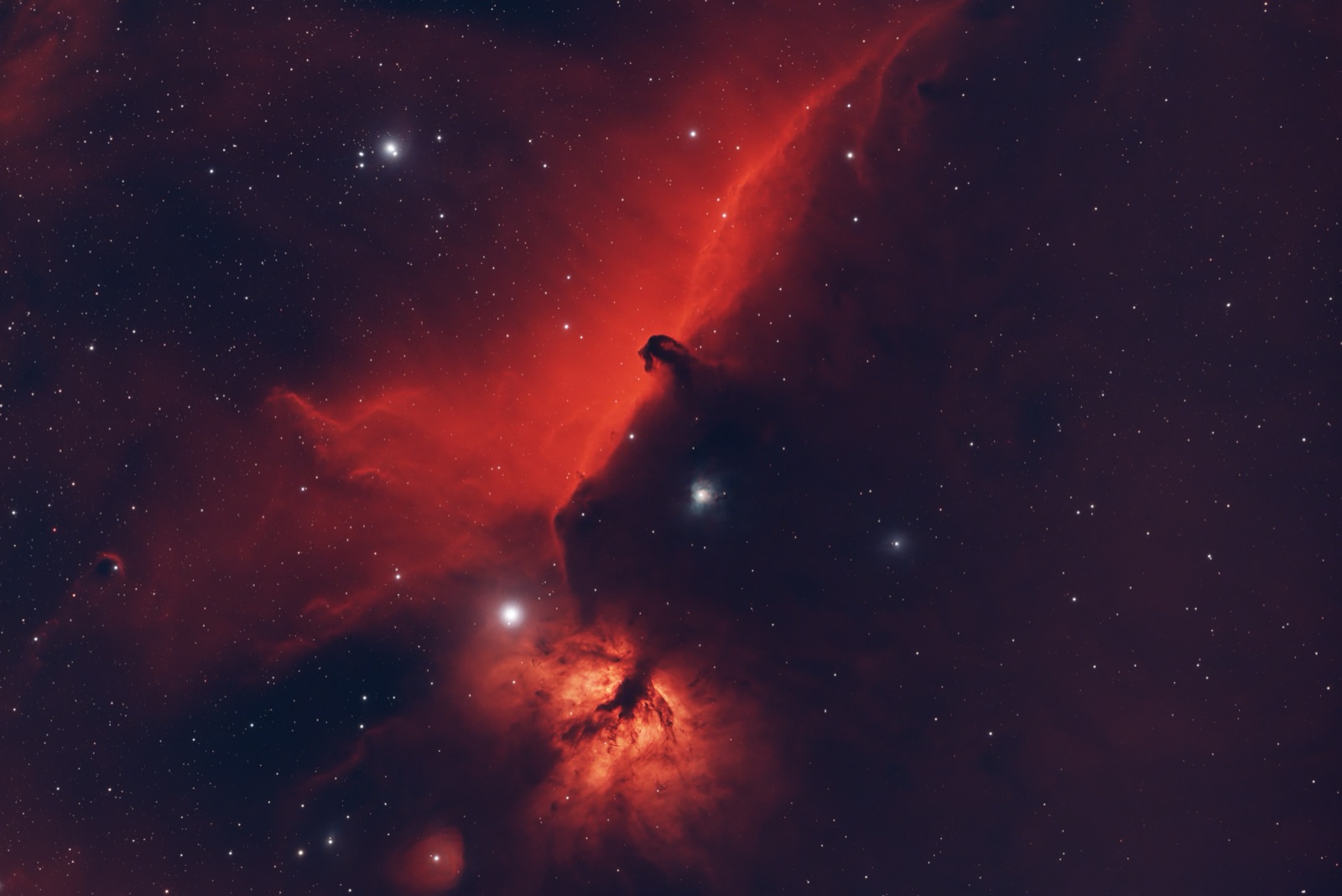 The Horsehead and Flame nebulae rendered in deep red, an alternate color treatment of the same Orion field as the hero image.